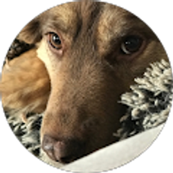 Profile photo of Michelle Swenson