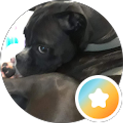 Profile photo of MCheatwood