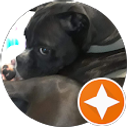 Profile photo of MCheatwood