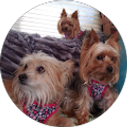 Profile photo of Chris Richards (Chrissy)