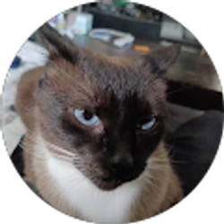 Profile photo of Becca Barnett