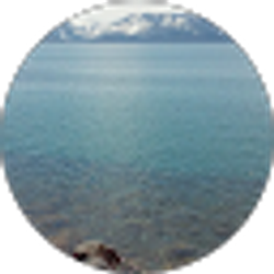 Profile photo of Alan Malhotra