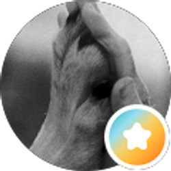 Profile photo of Coleen Balch