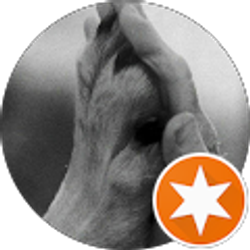 Profile photo of Coleen Balch