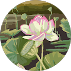 Profile photo of Brianna Morales