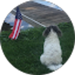 Profile photo of Grace Zaborowski