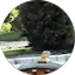 Profile photo of Geoff George