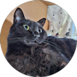 Profile photo of いろはえま 恵（恵）