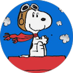 Profile photo of Living the dream