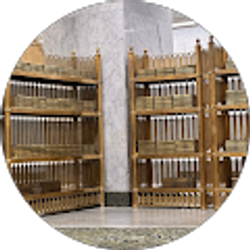 Profile photo of Fowsiya Abdi