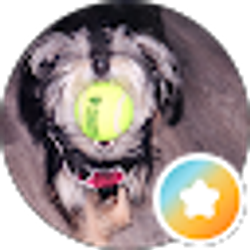 Profile photo of Stacey