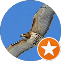 Profile photo of Joseph Lutz