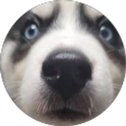 Profile photo of Cole Henderson