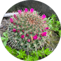 Profile photo of Dave G