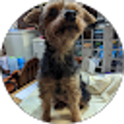 Profile photo of Fred Mackta