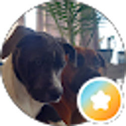 Profile photo of Jack B