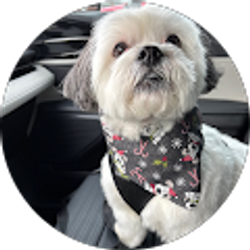 Profile photo of Richard VanBuren