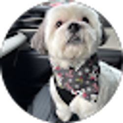 Profile photo of Rick VanBuren