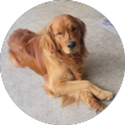 Profile photo of Greg Kristofik