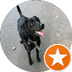 Profile photo of Jaryd Cain