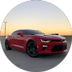 Profile photo of Thomas Mora