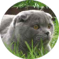 Profile photo of Happy “LaNa” Life