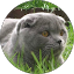 Profile photo of Happy “LaNa” Life