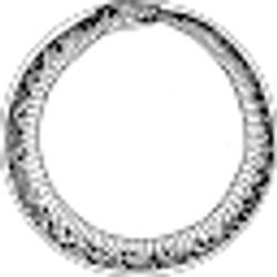 Profile photo of K. Tice
