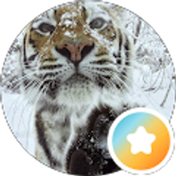 Profile photo of Tina Howell