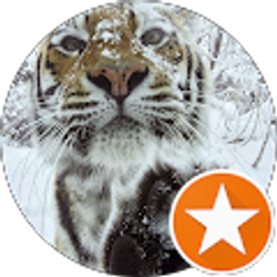 Profile photo of Tina Howell