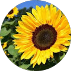 Profile photo of Natalie Carpenter