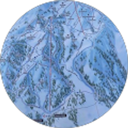 Profile photo of Young