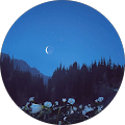 Profile photo of Megan Hamner