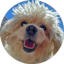 Profile photo of Nicole Wilson