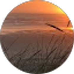 Profile photo of Larcha