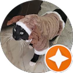 Profile photo of T o