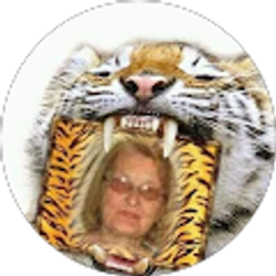 Profile photo of Diana P