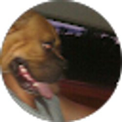 Profile photo of Robert Reyna