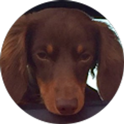 Profile photo of Scott Durant