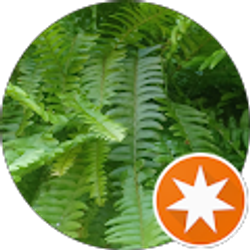 Profile photo of Joel Castro