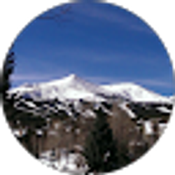 Profile photo of Vernon Mclaurin