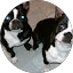 Profile photo of sherry mascaro