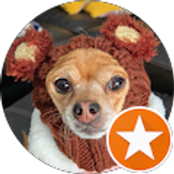 Profile photo of Kim Ramsey