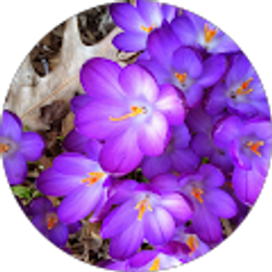 Profile photo of Tammy Ashburn