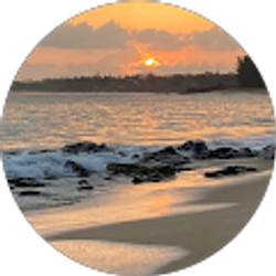 Profile photo of Lyn Wilson