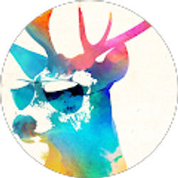 Profile photo of Bill Prevo