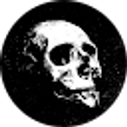 Profile photo of 5 0 9 S I C A R I O