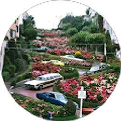 Profile photo of Rohullah Daudzai