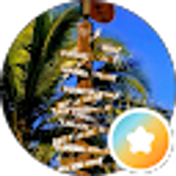 Profile photo of Makaha H