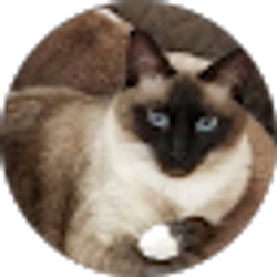 Profile photo of Sheila Bryan